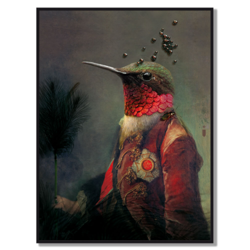 Portrait Collection Ambroise