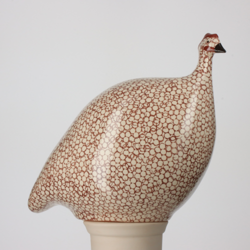 White Speckled Red Guinea Hen