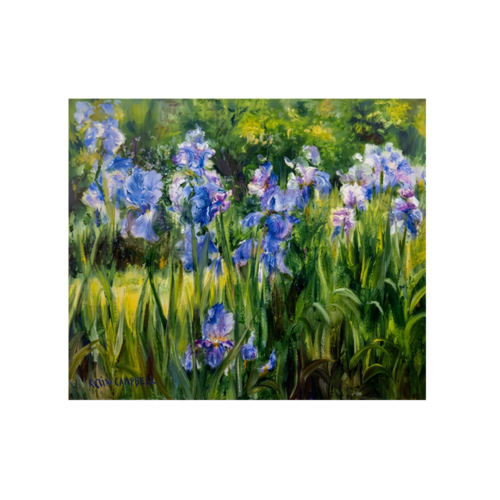 Iris en Provence by Katia Campbell (16" L x 13"H)