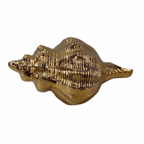 Conch Seashell Sculpture