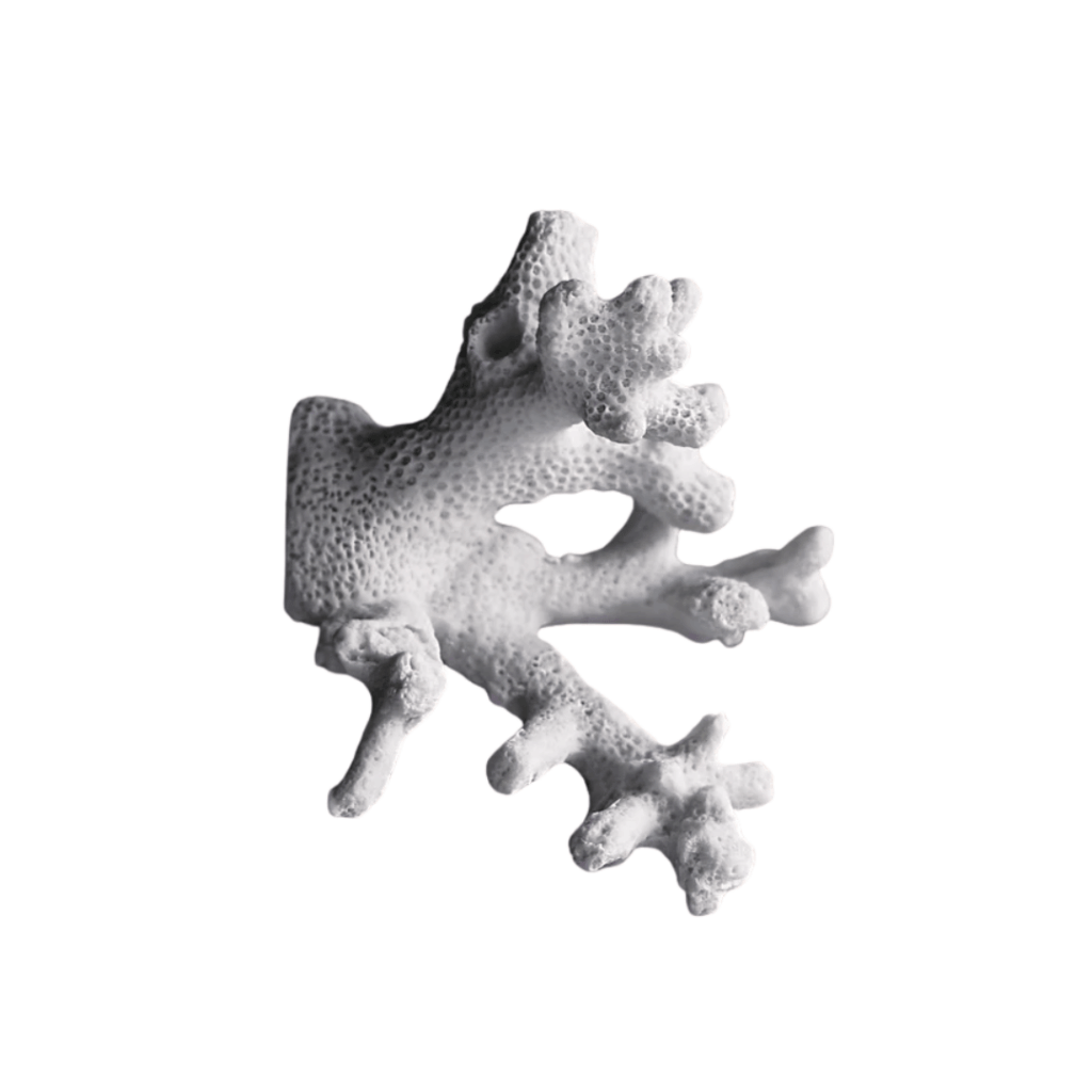 Coral Wall Decor