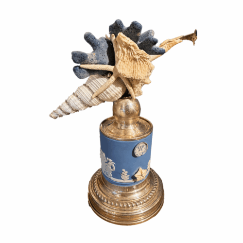 Wedgewood Wonders of the Deep by Amy Byrnes