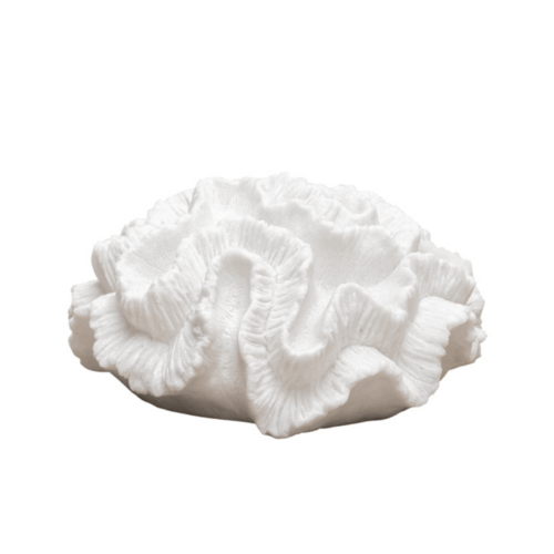 Coral Lamp
