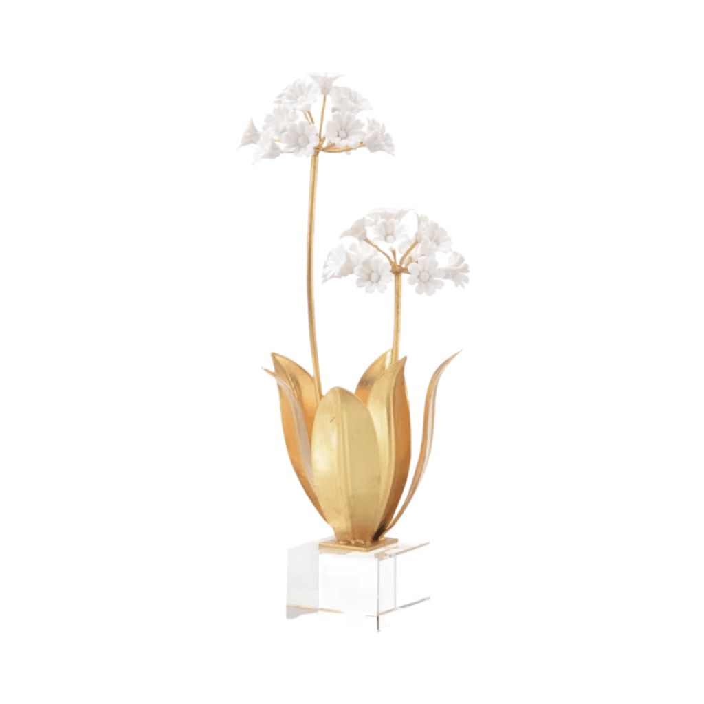 Allium Moly White Porcelain