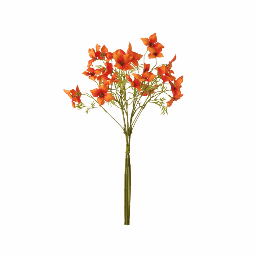 Orange Dogwood Bundle