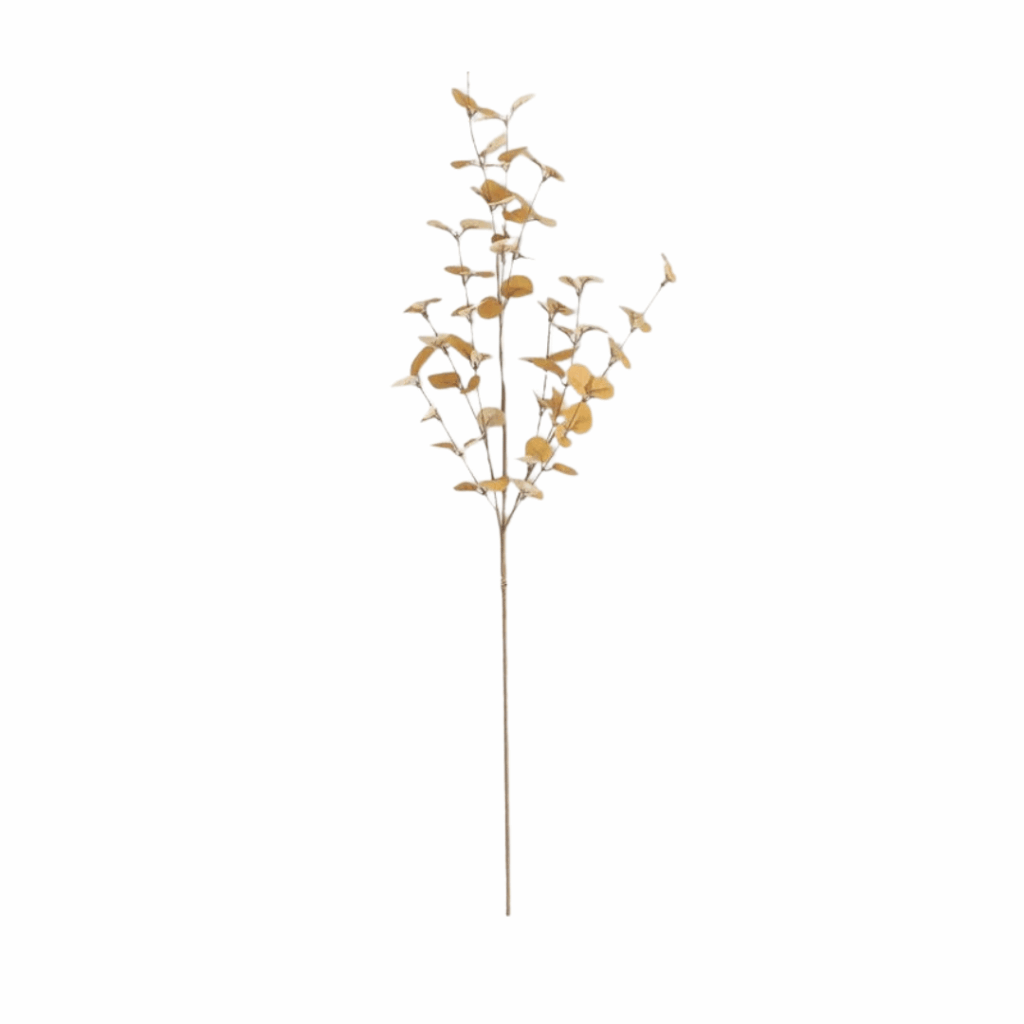 Yellow Eucalyptus Stem